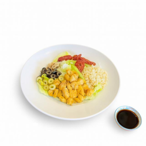 🥗 پریمر سالاد رژیمی (Premier Healthy Salad)